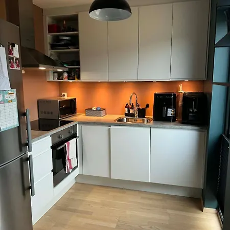 Apartment Newer Townhouse With Proximity To A Communal Outdoor Area Tysvaer